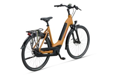 ALTURA E-GO PT PRO OCKERBRN-MAT 